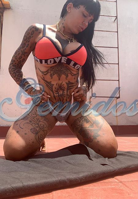 Pamefitdoll