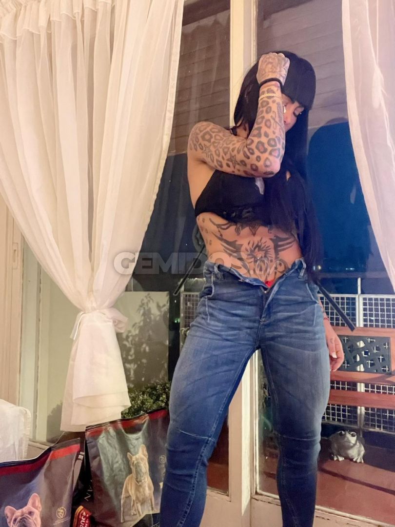 Pamefitdoll