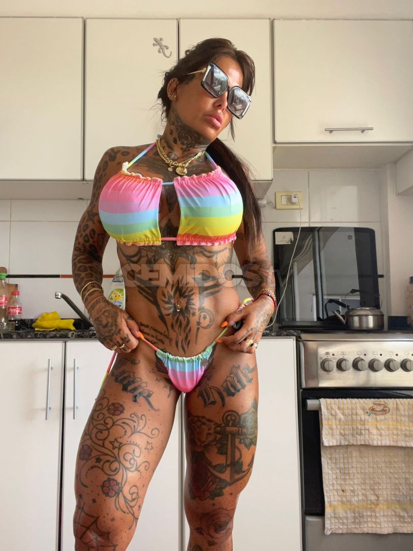Pamefitdoll