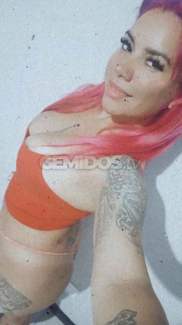 Candela ZN