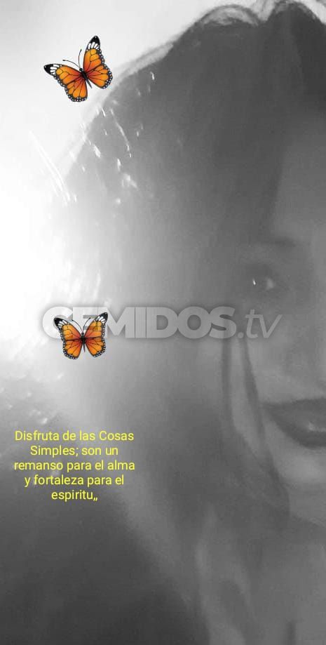 Anni CBA