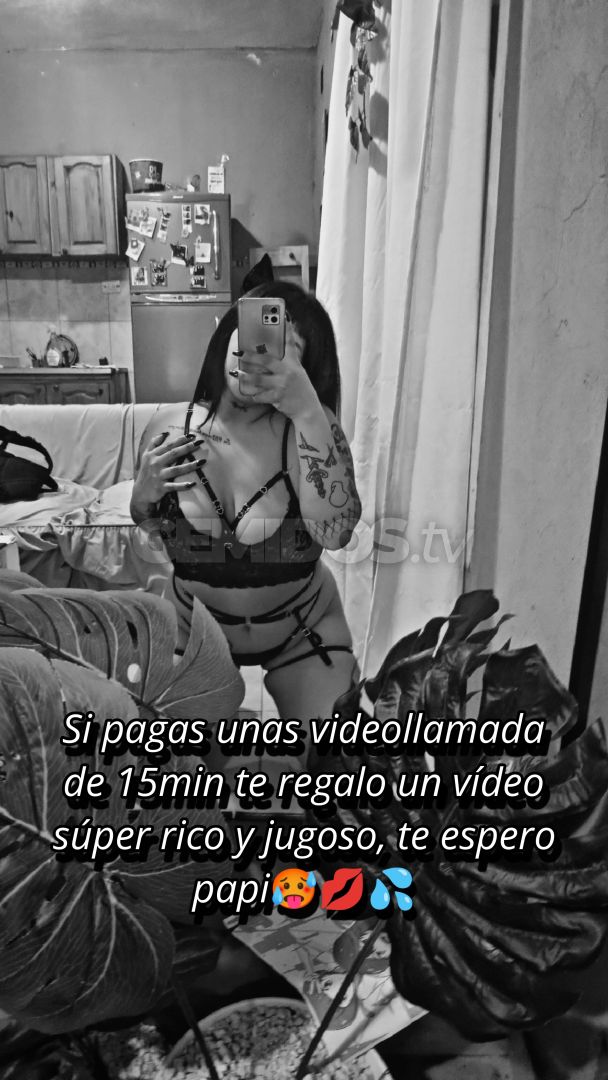 Dafne ZS