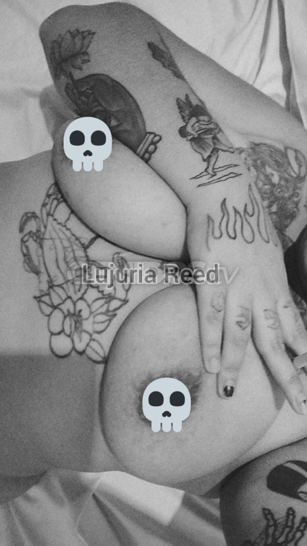 Lujuria Reed ZN 