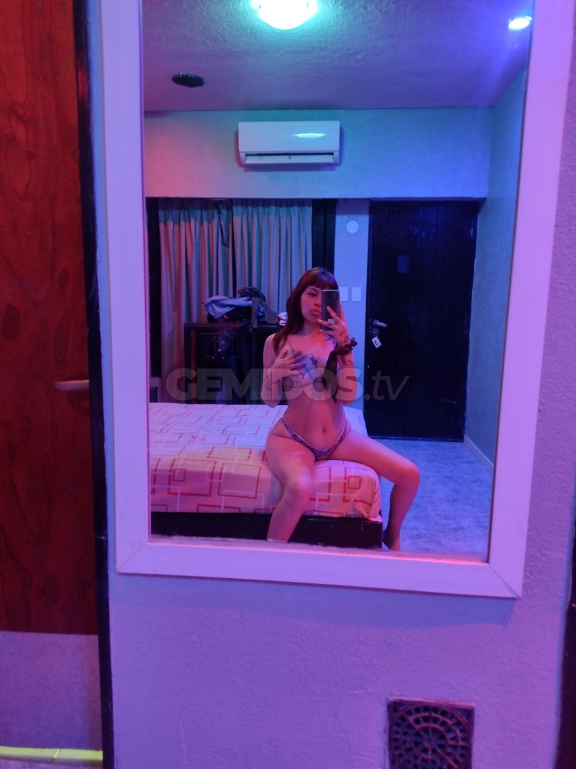 Brisa ZN