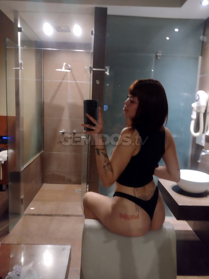 Brisa ZN